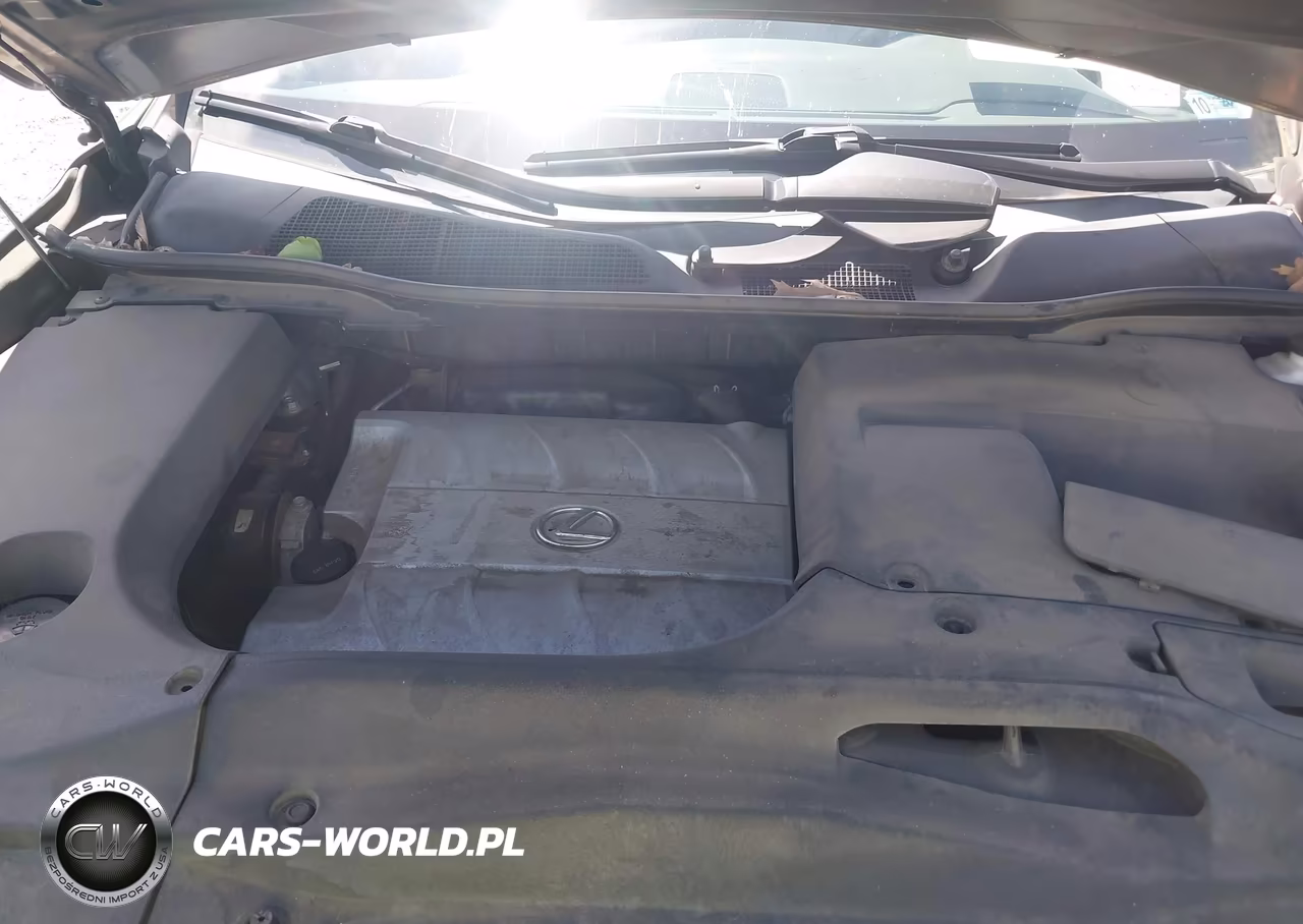 2014 Lexus Rx 350 VIN:2T2BK1BA0EC249907 - 10