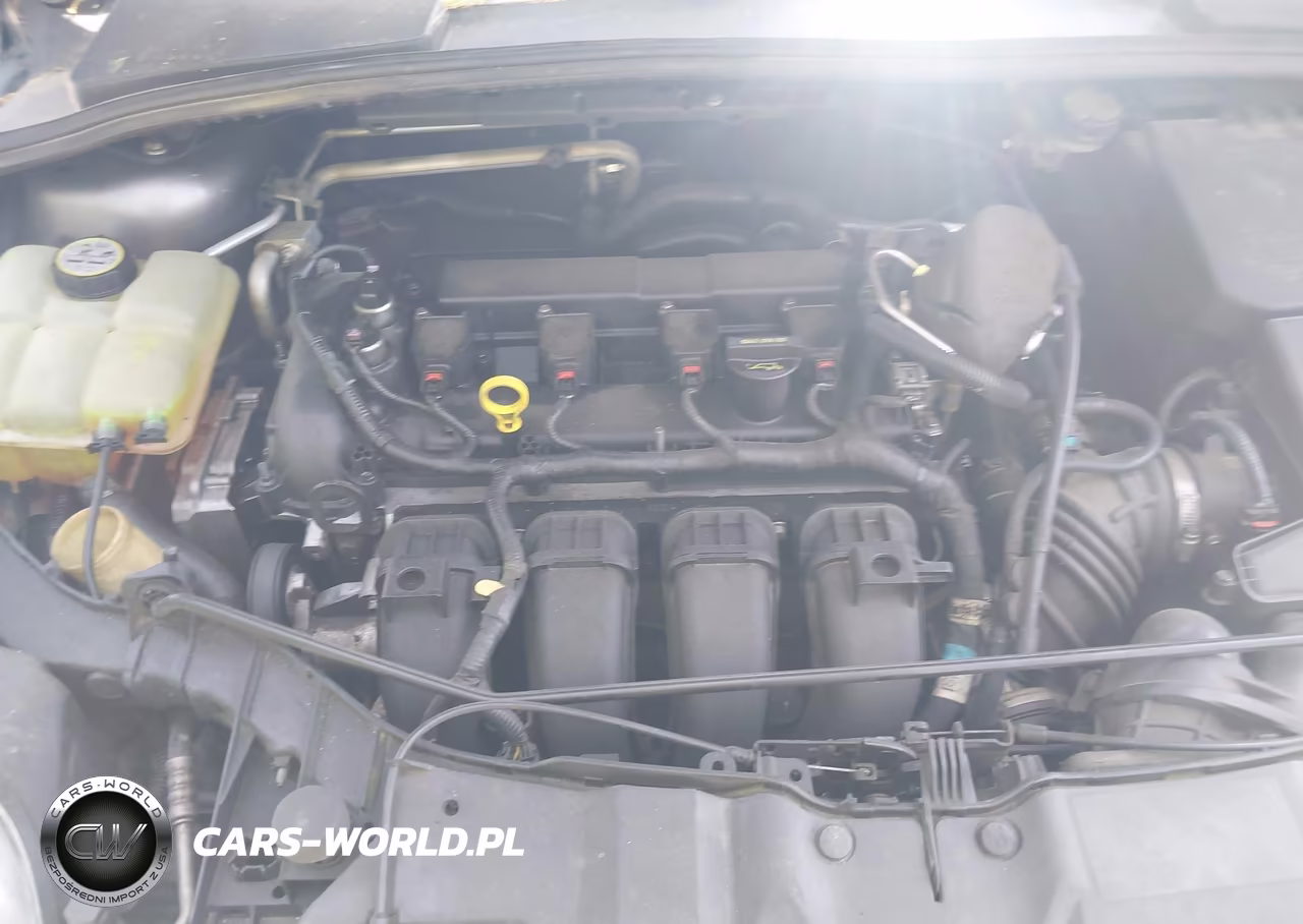 2013 Ford Focus Se VIN:1FADP3F23DL330698 - 10
