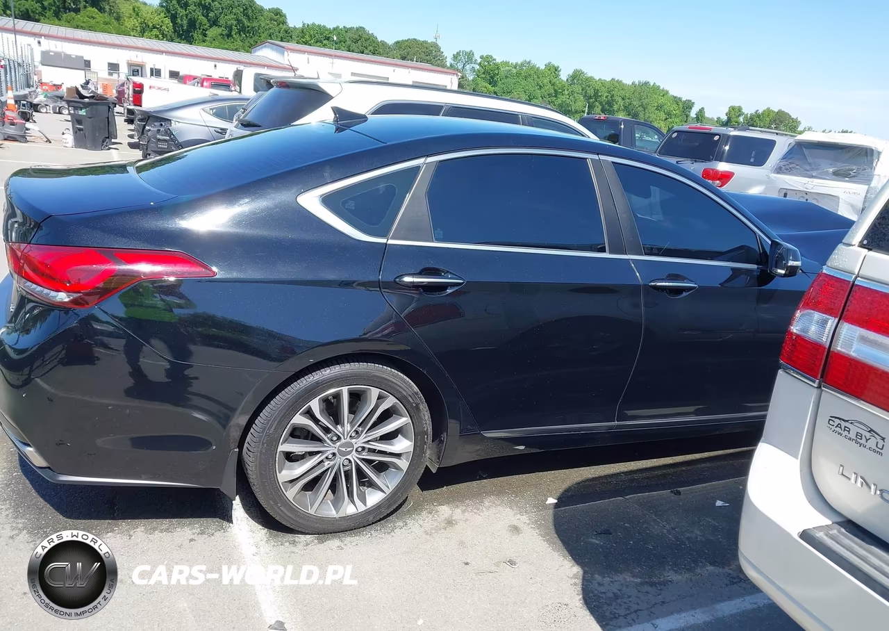 2016 Hyundai Genesis 3.8 VIN:KMHGN4JE8GU136120 - 13
