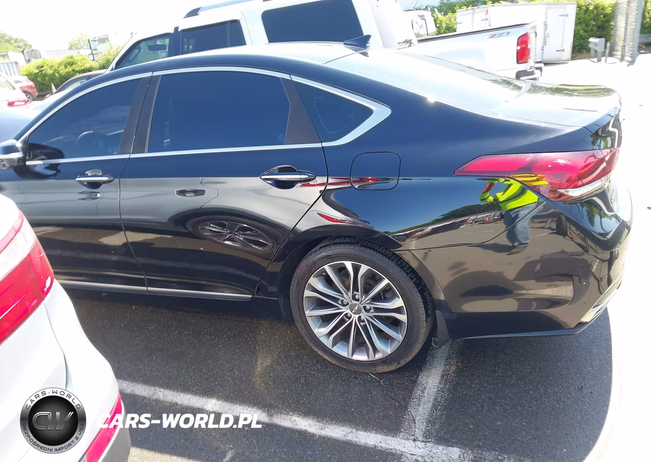 2016 Hyundai Genesis 3.8 VIN:KMHGN4JE8GU136120 - 14