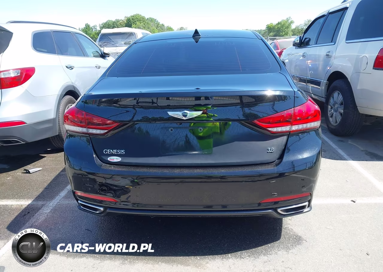 2016 Hyundai Genesis 3.8 VIN:KMHGN4JE8GU136120 - 16
