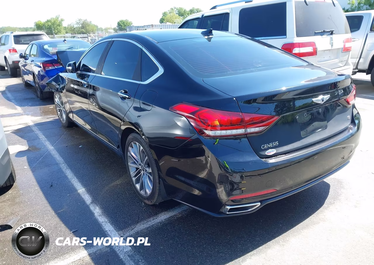 2016 Hyundai Genesis 3.8 VIN:KMHGN4JE8GU136120 - 3