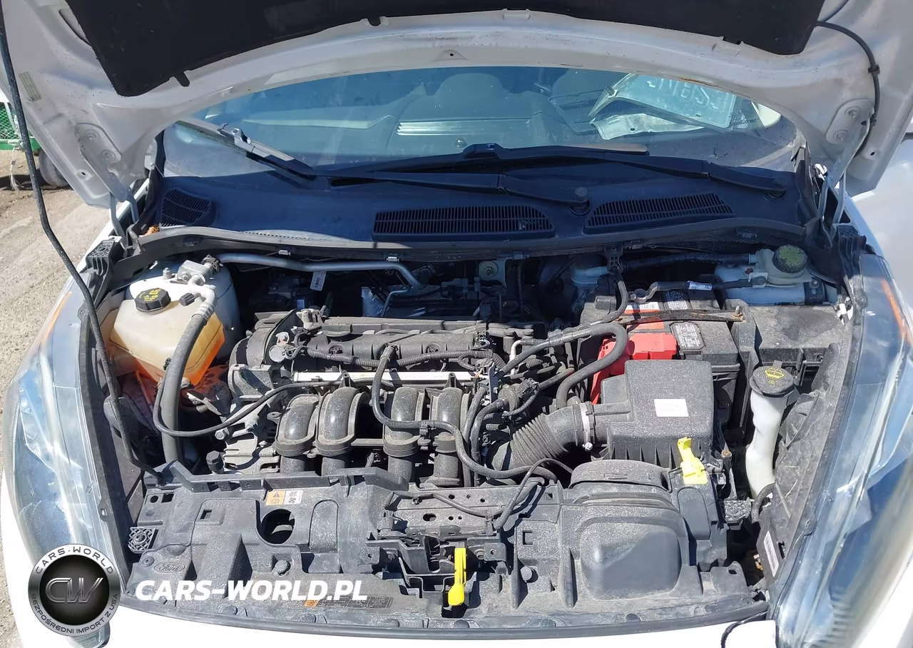 2014 Ford Fiesta Se VIN:3FADP4BJ5EM186204 - 10