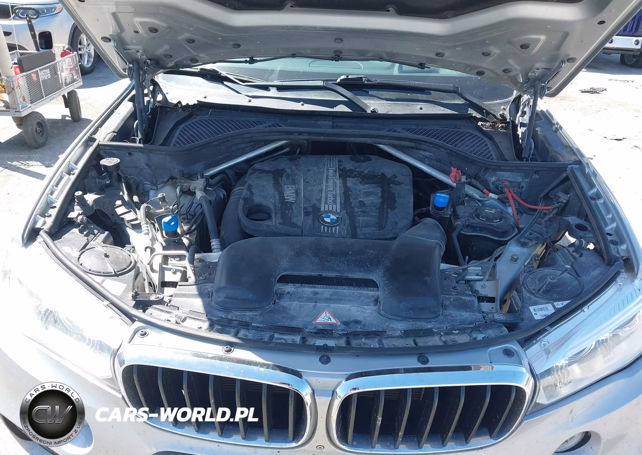 2015 BMW X5 xDrive35D VIN:5UXKS4C50F0N08591 - 10