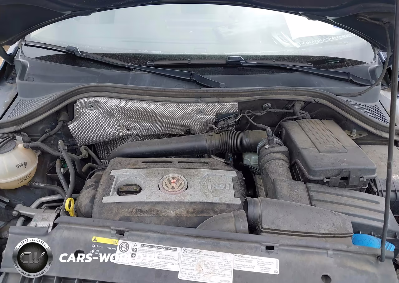 2016 Volkswagen Tiguan S VIN:WVGAV7AX1GW509379 - 10