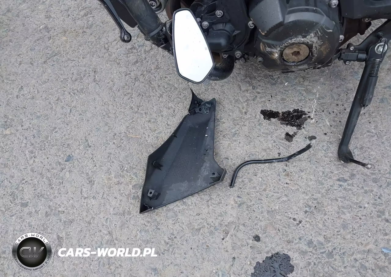 2014 Yamaha Fz09 VIN:JYARN33E5EA001952 - 11