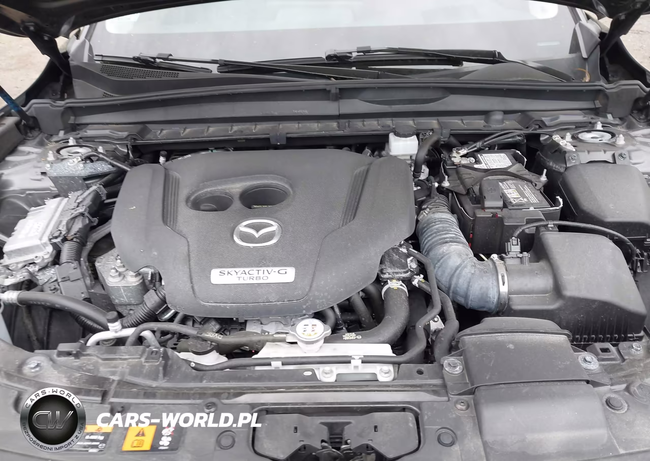 2023 Mazda Cx-50 2.5 Turbo Premium Plus VIN:7MMVABEY2PN118156 - 10