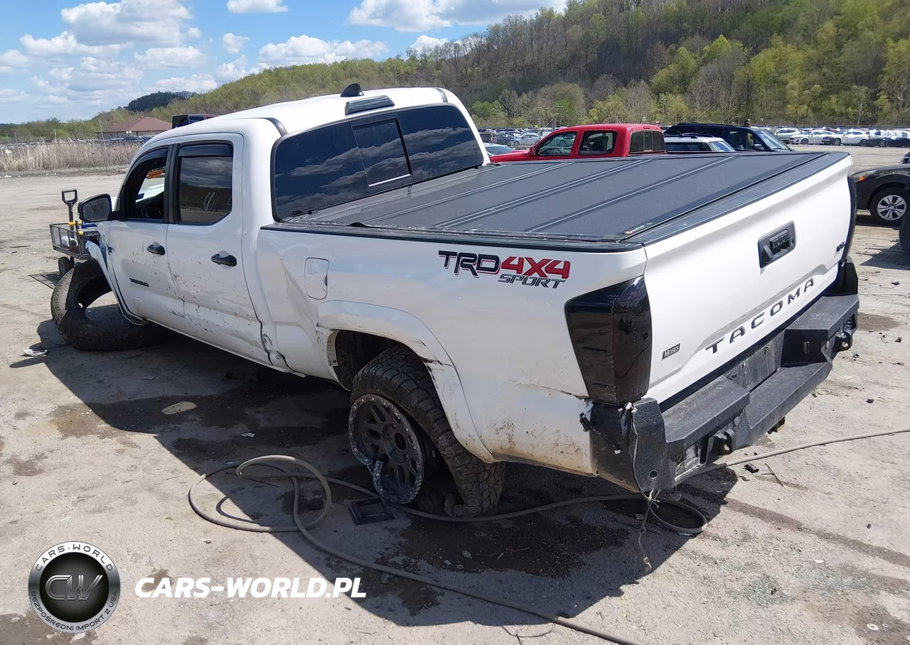 2021 Toyota Tacoma Trd Sport VIN:3TMDZ5BN3MM119175 - 3