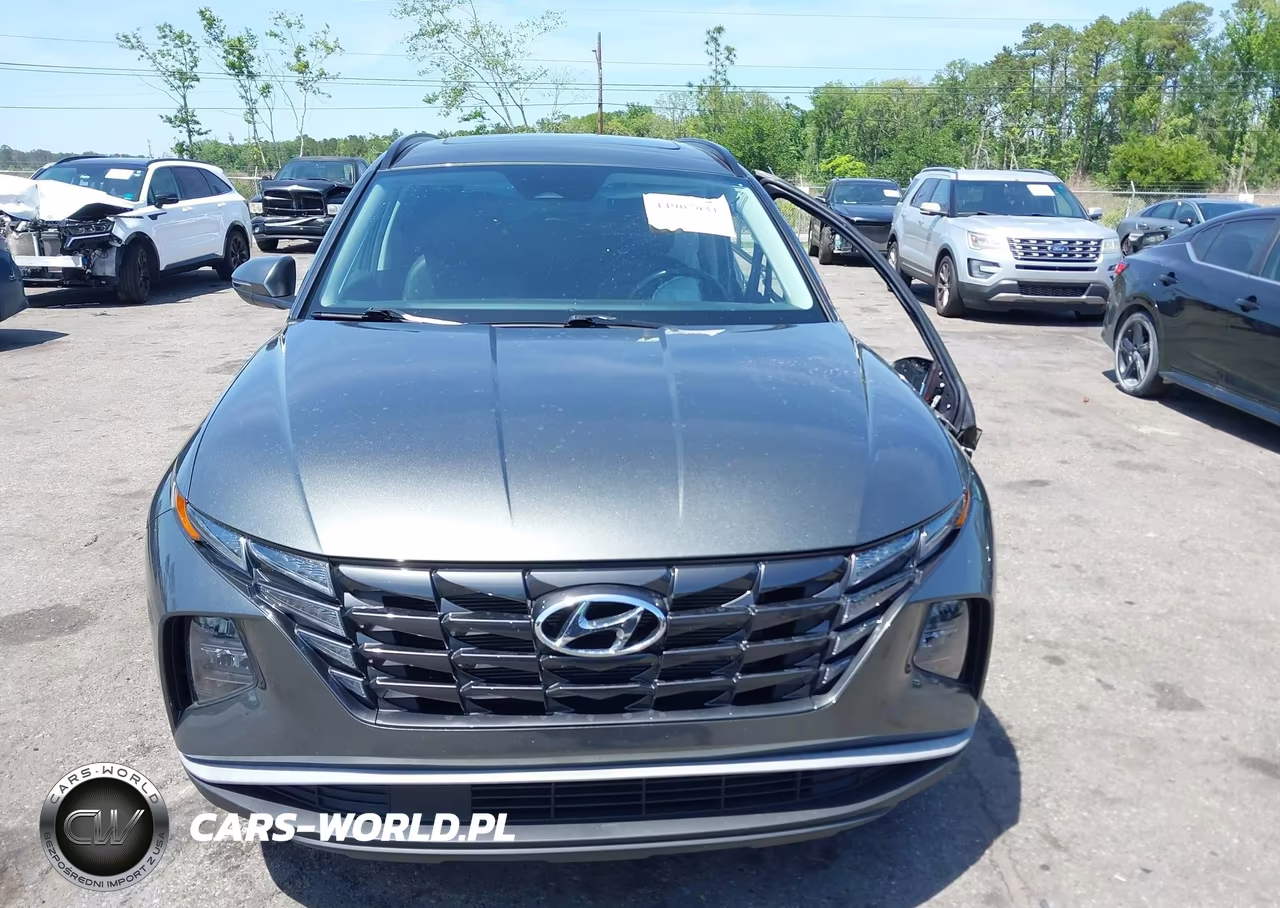 2023 Hyundai Tucson Sel VIN:5NMJFCAE9PH261362 - 12