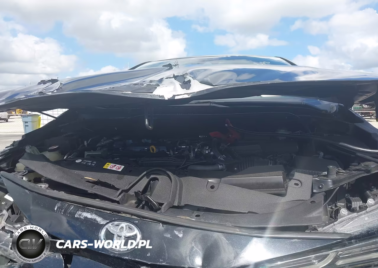 2020 Toyota Corolla Se VIN:JTDS4RCE2LJ021620 - 10