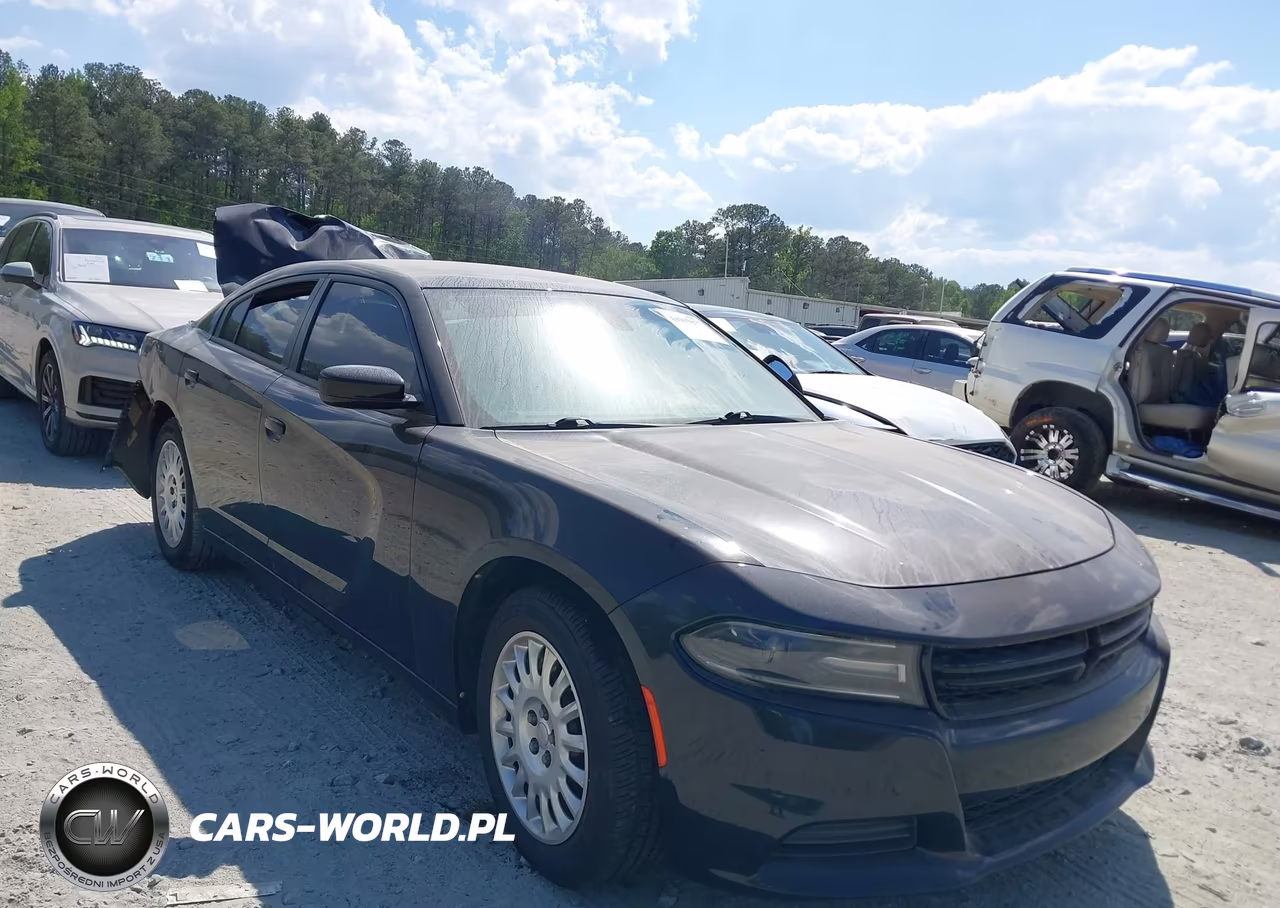 2020 Dodge Charger Police Awd