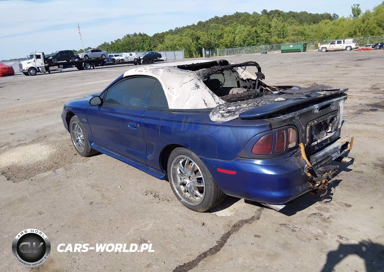 1997 Ford Mustang Gt VIN:1FALP45X7VF178648 - 3