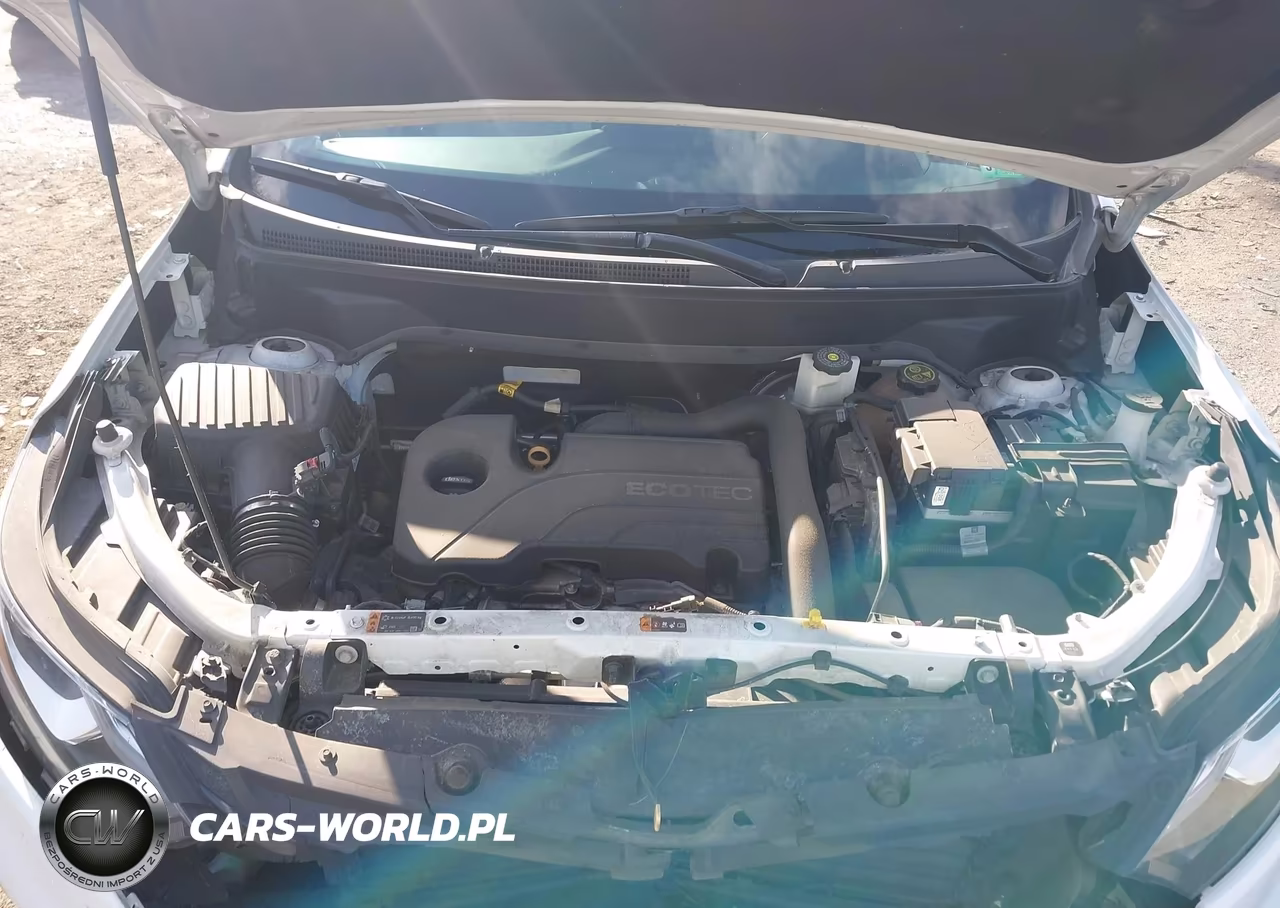 2019 Chevrolet Equinox Ls VIN:2GNAXHEVXK6139699 - 10