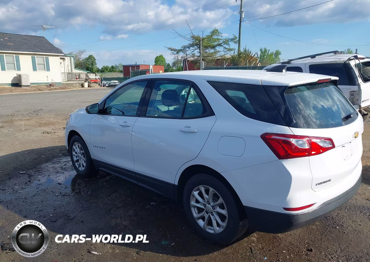 2019 Chevrolet Equinox Ls VIN:2GNAXHEVXK6139699 - 3