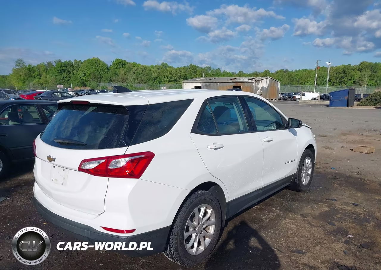 2019 Chevrolet Equinox Ls VIN:2GNAXHEVXK6139699 - 4