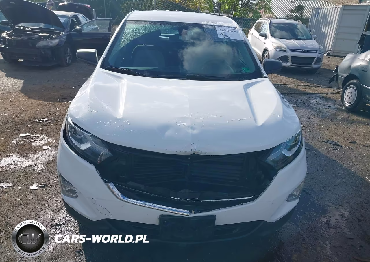 2019 Chevrolet Equinox Ls VIN:2GNAXHEVXK6139699 - 6