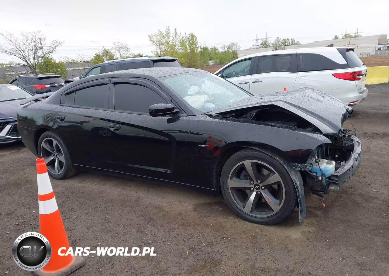 2014 Dodge Charger R-T VIN:2C3CDXCT0EH369271 - 13