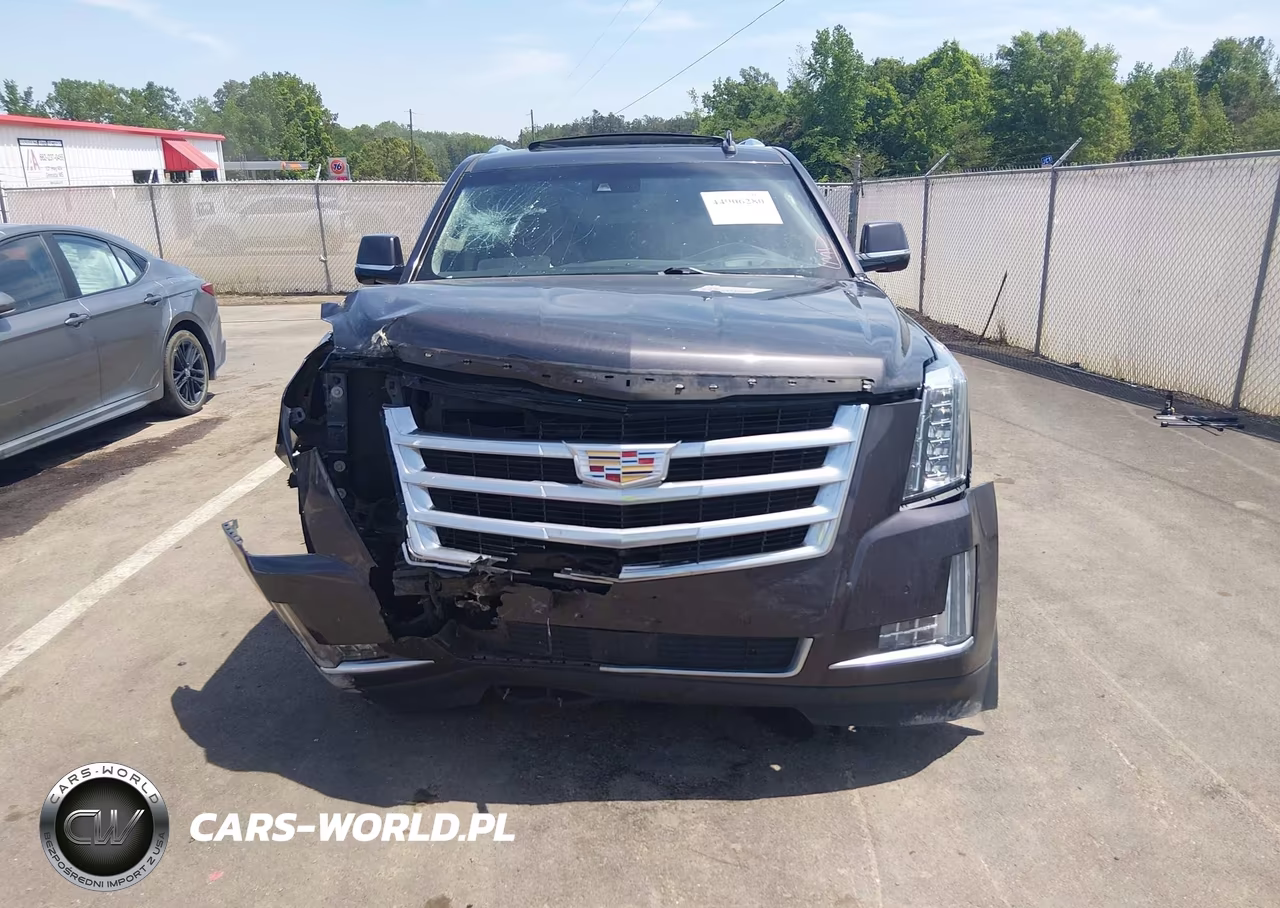 2015 Cadillac Escalade Esv Premium VIN:1GYS4TKJ5FR601830 - 13