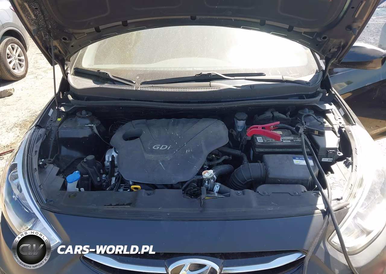 2016 Hyundai Accent Se VIN:KMHCT4AE8GU128166 - 10