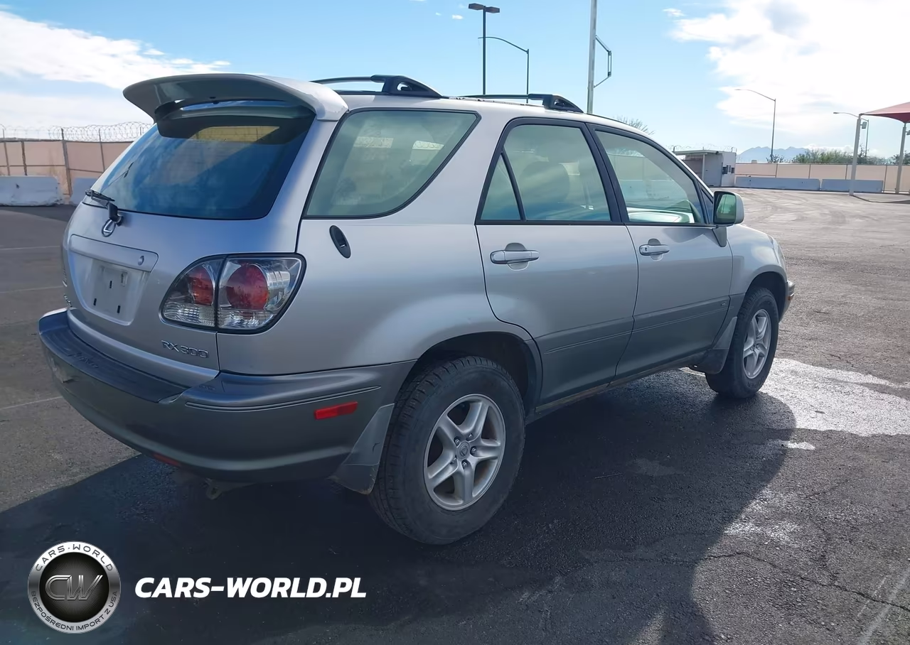 2002 Lexus Rx 300 VIN:JTJGF10U620125011 - 4