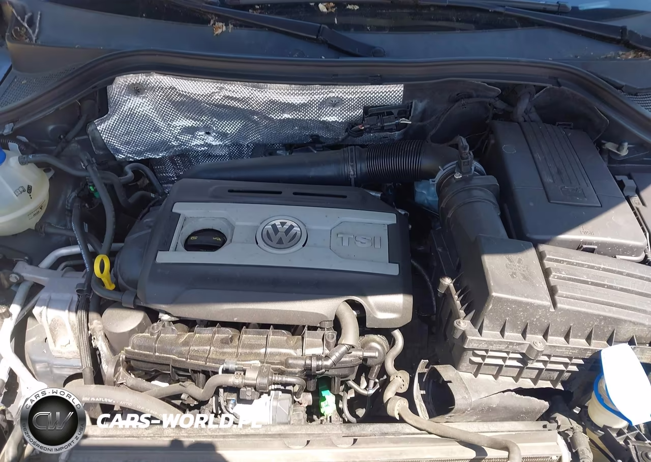 2017 Volkswagen Tiguan 2.0T-2.0T S VIN:WVGBV7AX5HK009433 - 10