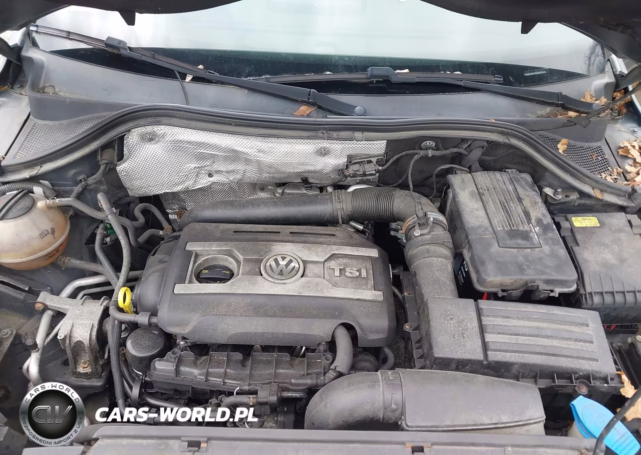 2014 Volkswagen Tiguan Se VIN:WVGBV3AX7EW557446 - 10