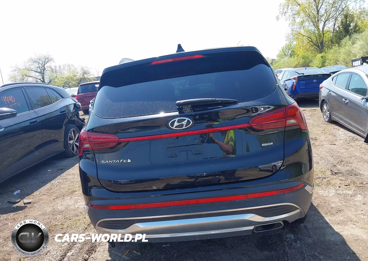 2022 Hyundai Santa Fe Sel VIN:5NMS2DAJ9NH454028 - 17