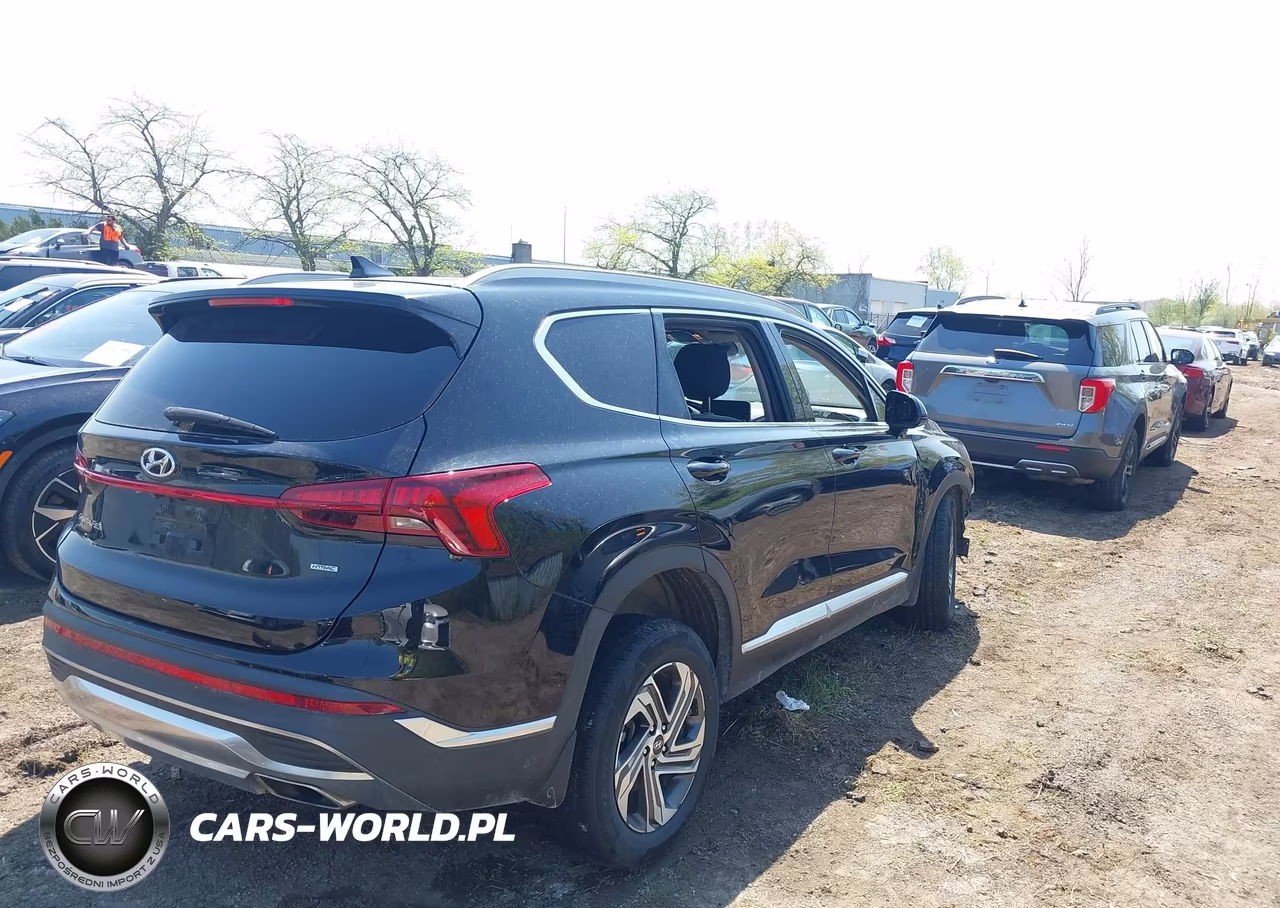 2022 Hyundai Santa Fe Sel VIN:5NMS2DAJ9NH454028 - 4