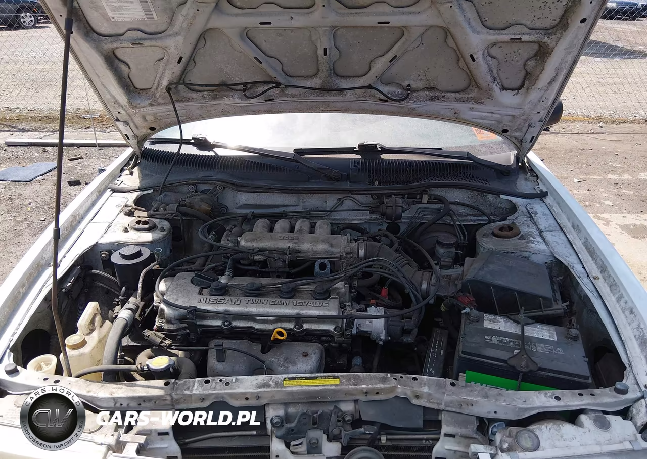 1994 Nissan Sentra E-Xe-Gxe-Le VIN:JN1EB31P9RU318981 - 10