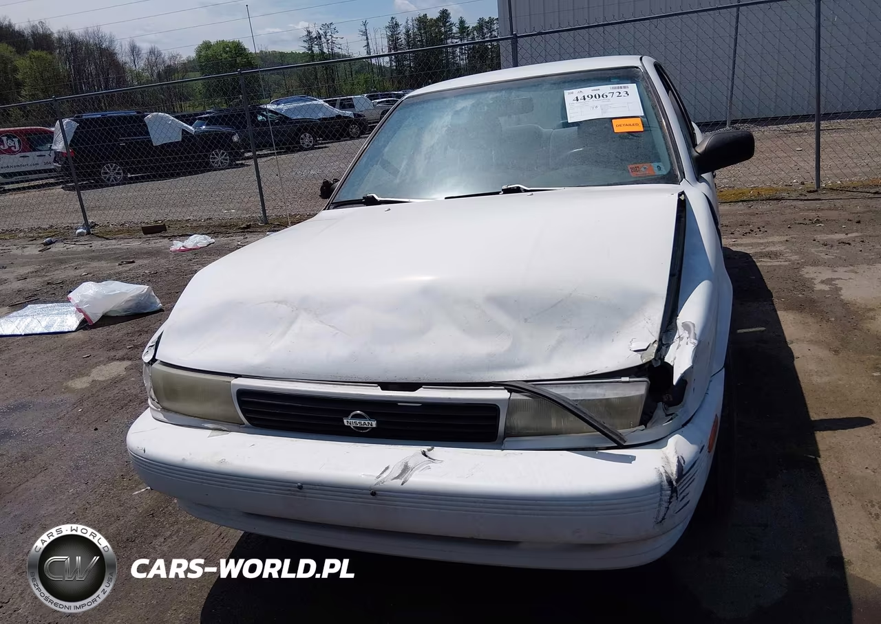 1994 Nissan Sentra E-Xe-Gxe-Le VIN:JN1EB31P9RU318981 - 12