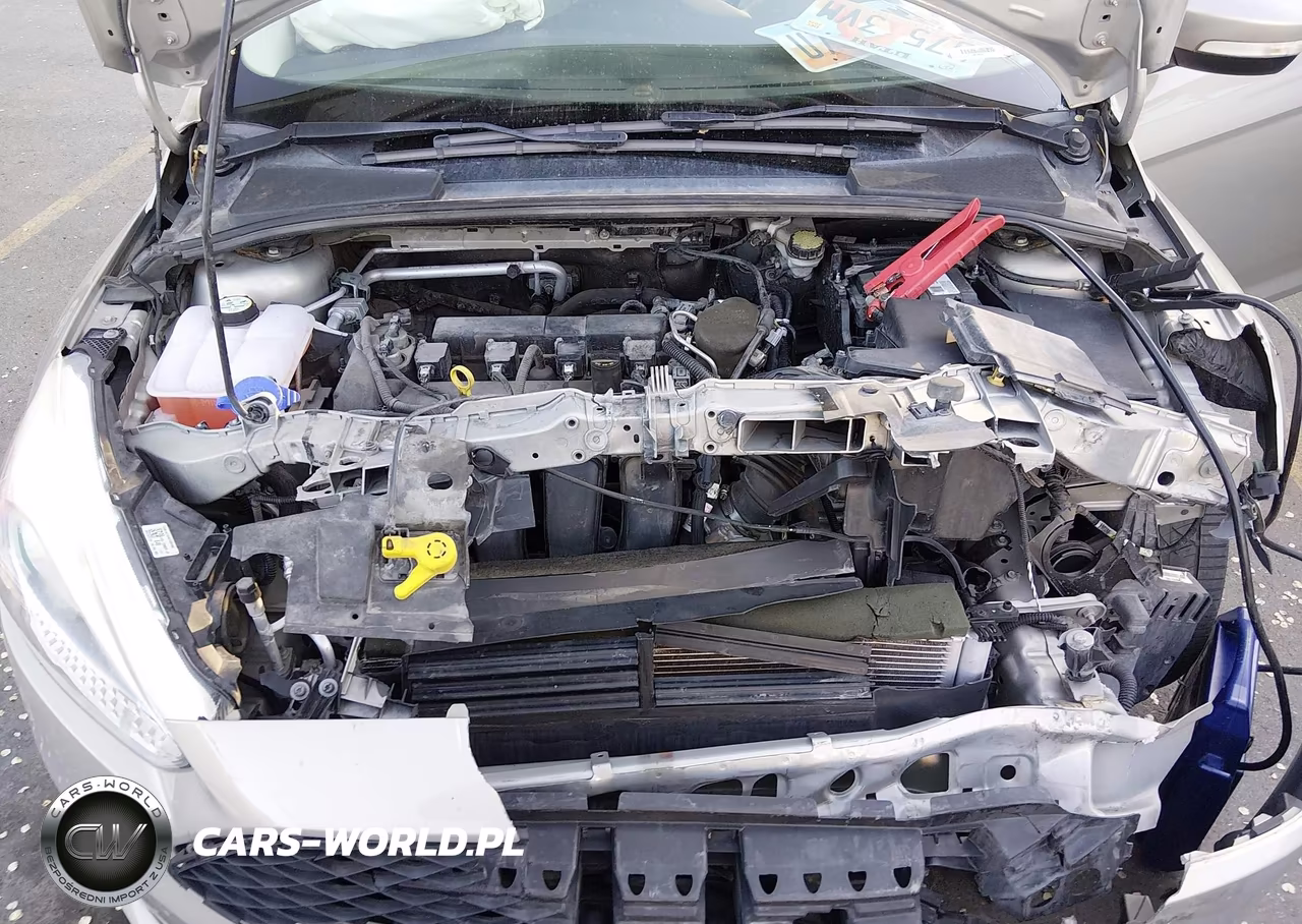 2015 Ford Focus Se VIN:1FADP3K27FL256596 - 10