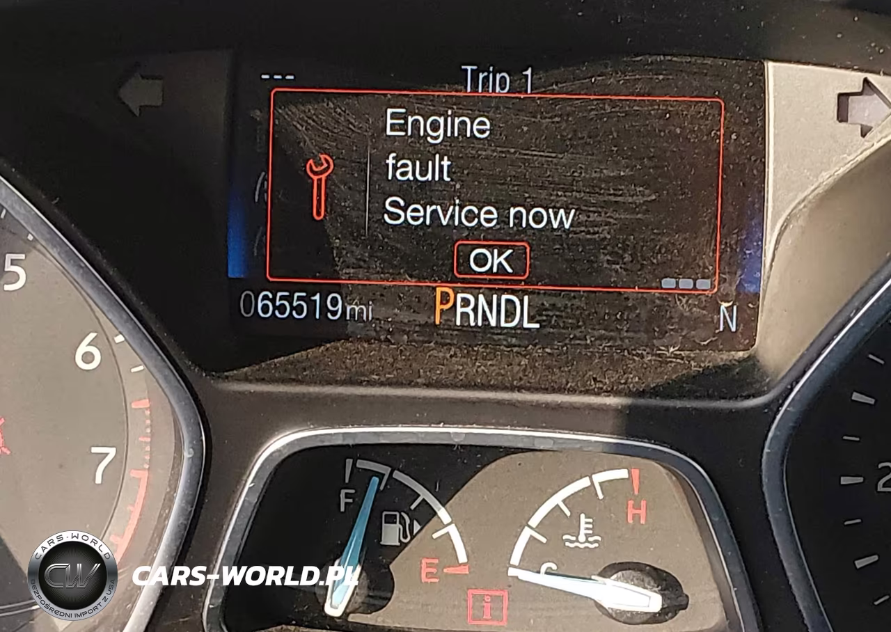 2015 Ford Focus Se VIN:1FADP3K27FL256596 - 15