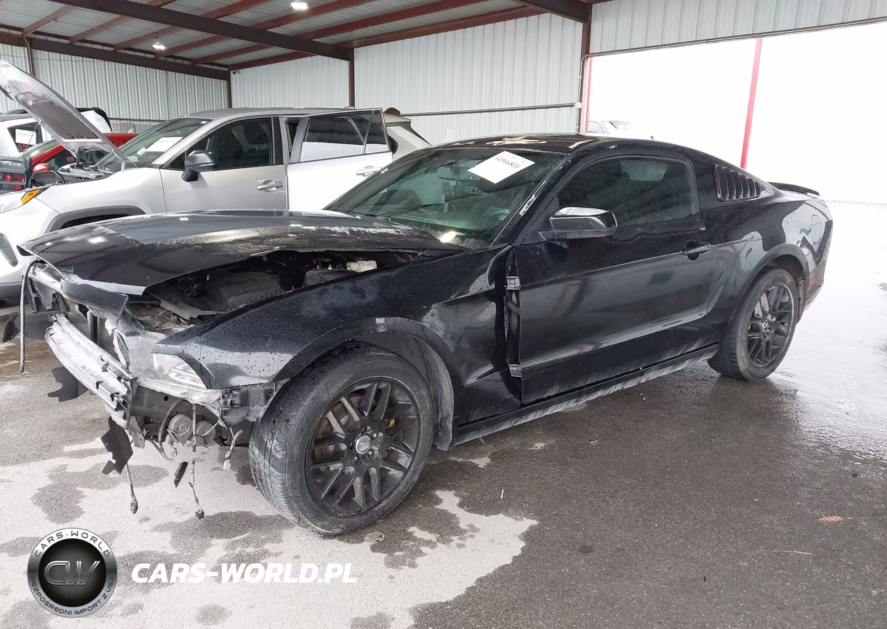 2014 Ford Mustang V6 VIN:1ZVBP8AM0E5274441 - 2