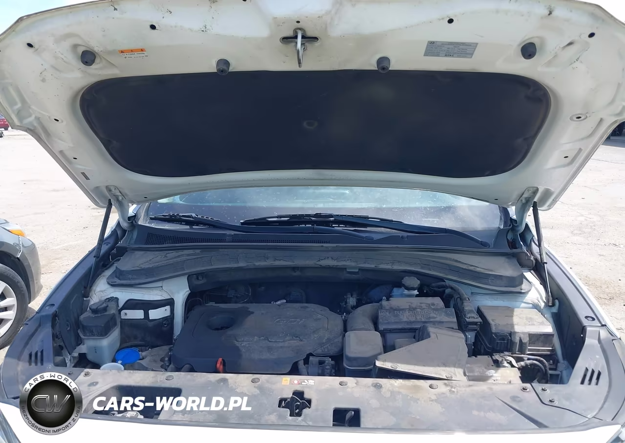 2020 Hyundai Santa Fe Sel VIN:5NMS33AD9LH202911 - 10