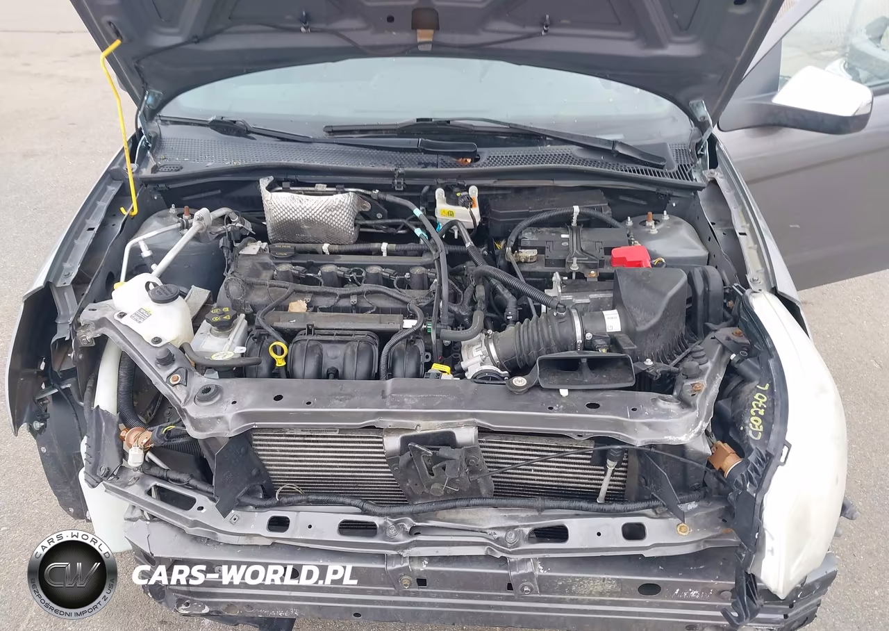 2011 Ford Focus Sel VIN:1FAHP3HN4BW109826 - 10