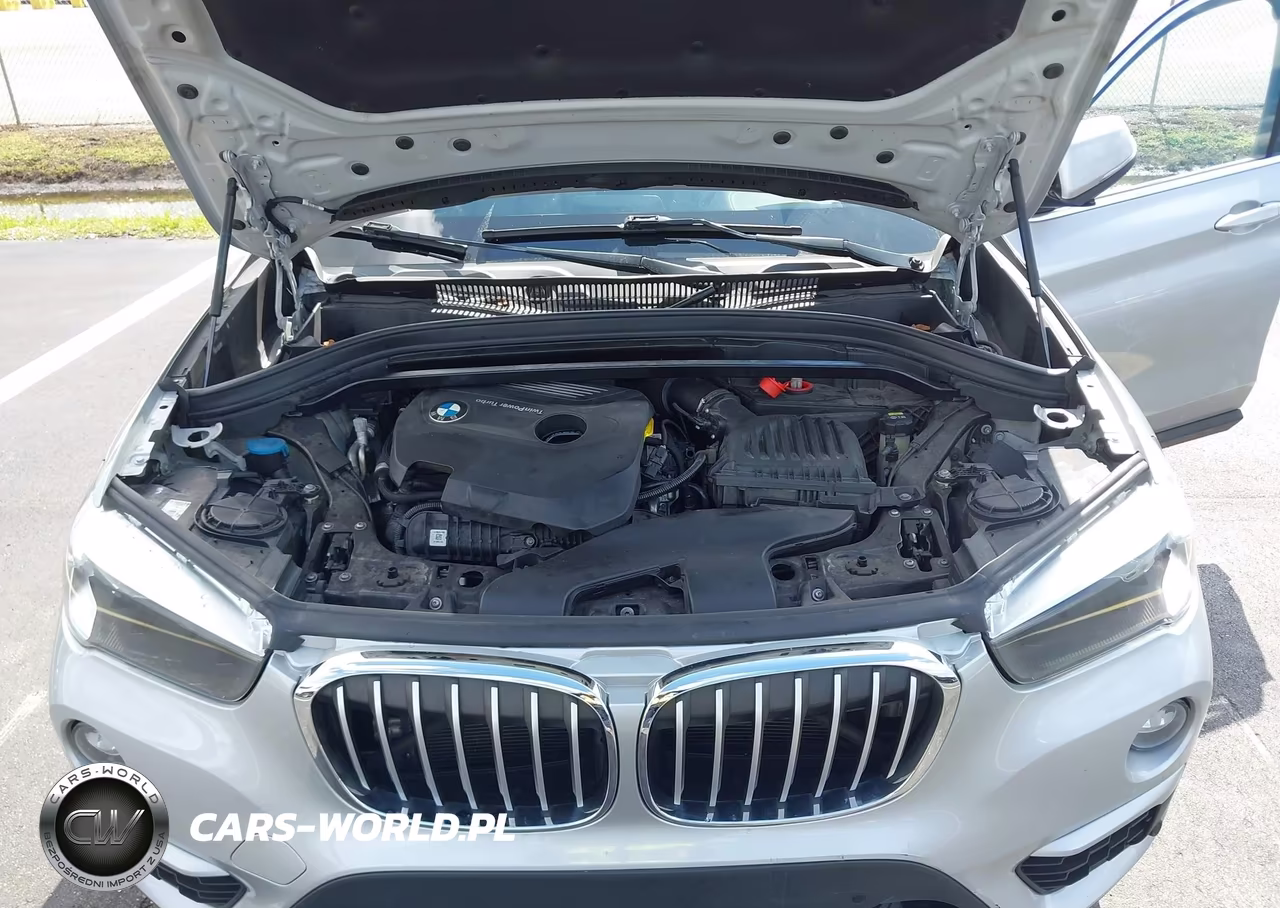 2019 BMW X1 Sdrive28I VIN:WBXHU7C50K5L11993 - 10