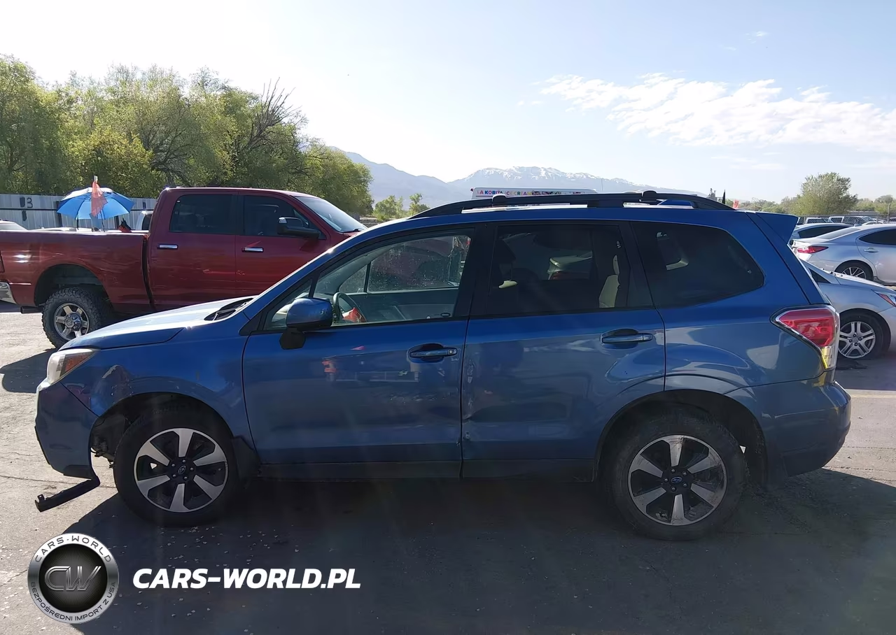 2017 Subaru Forester 2.5I Premium VIN:JF2SJAEC9HG567598 - 14