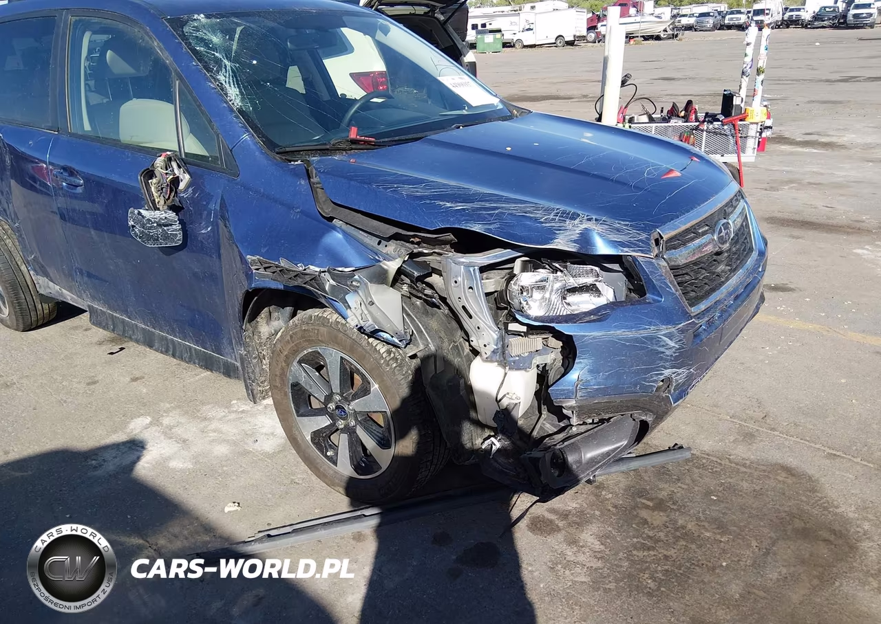 2017 Subaru Forester 2.5I Premium VIN:JF2SJAEC9HG567598 - 6