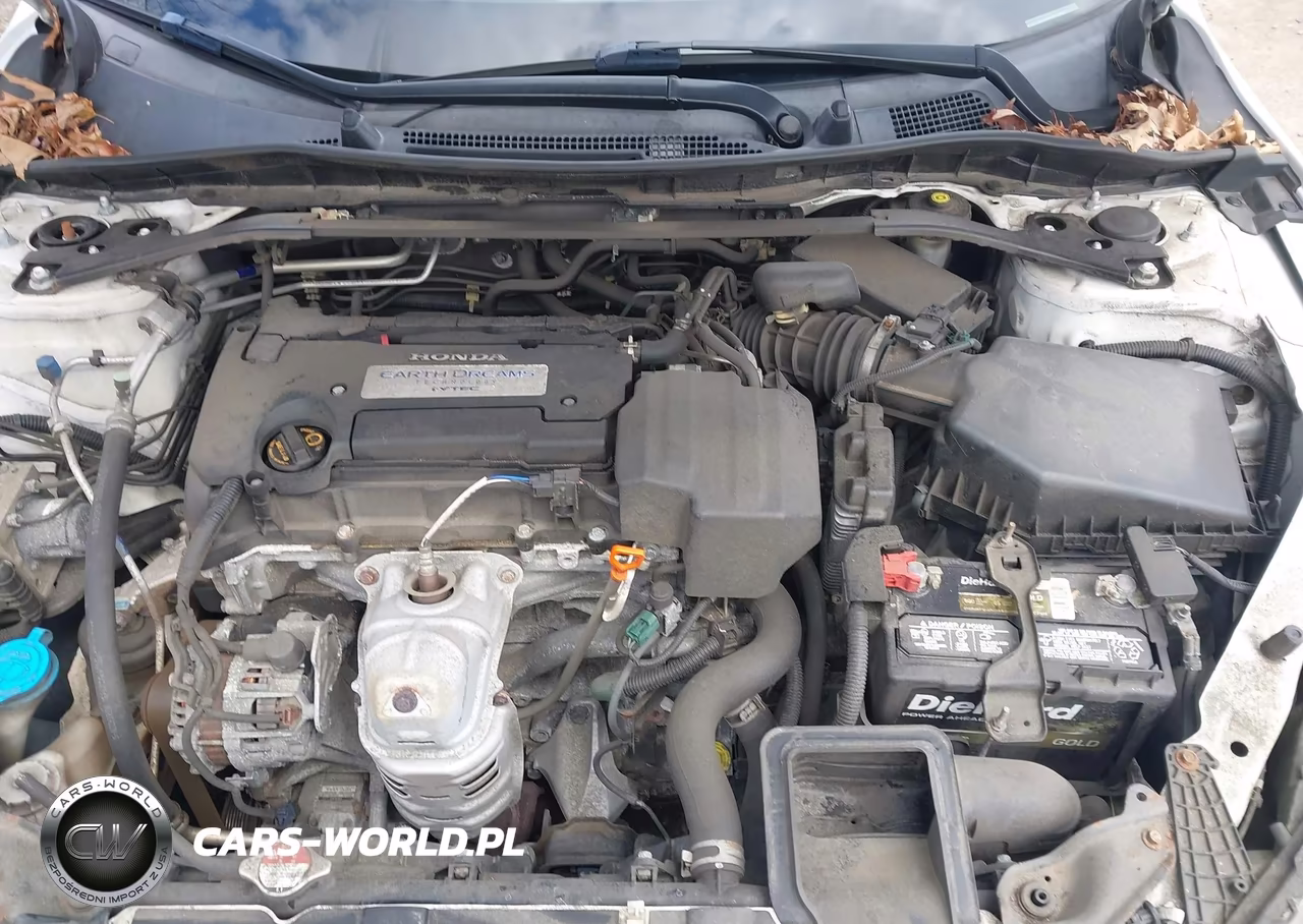 2013 Honda Accord Ex-L VIN:1HGCR2F88DA164626 - 10