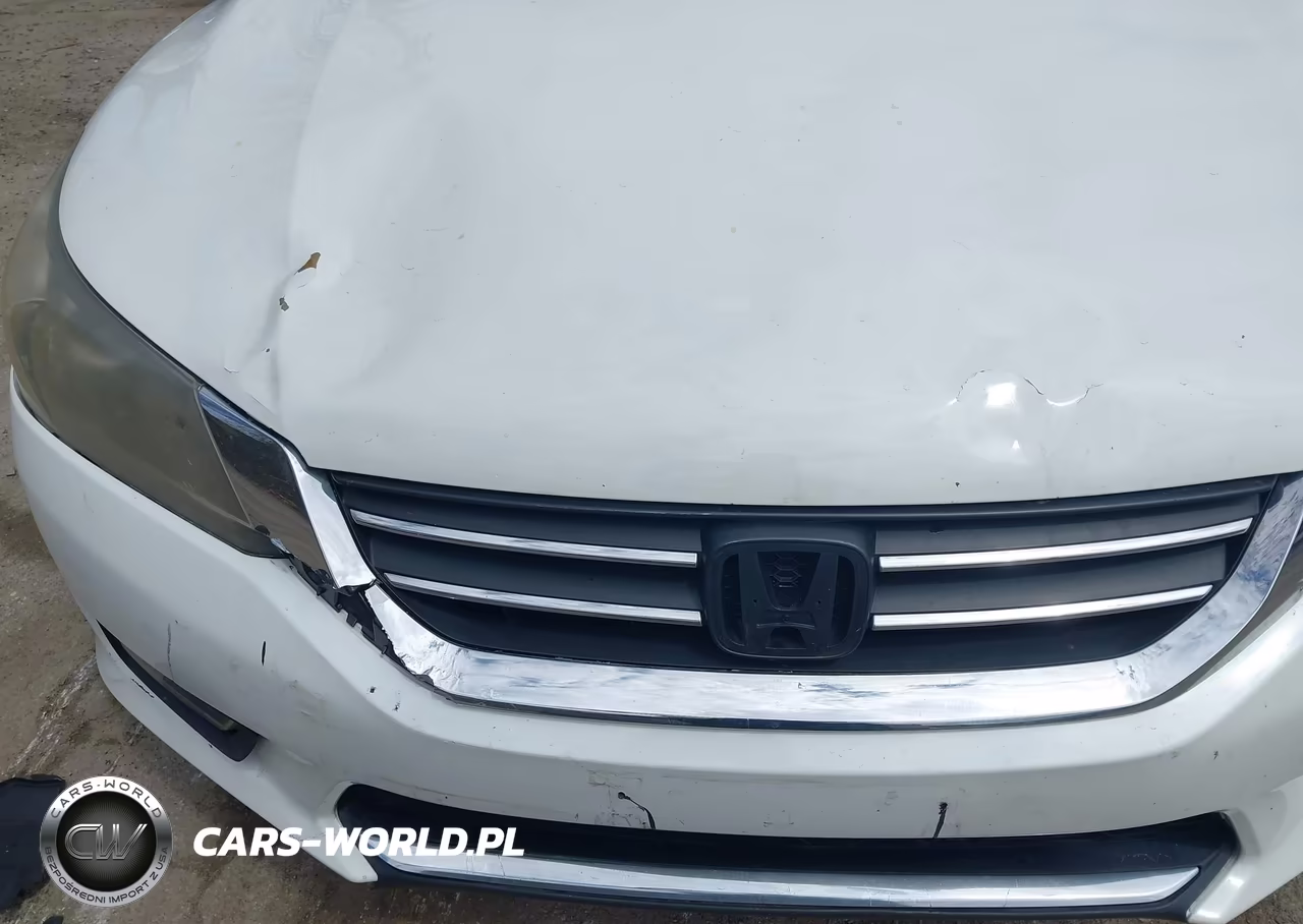 2013 Honda Accord Ex-L VIN:1HGCR2F88DA164626 - 6