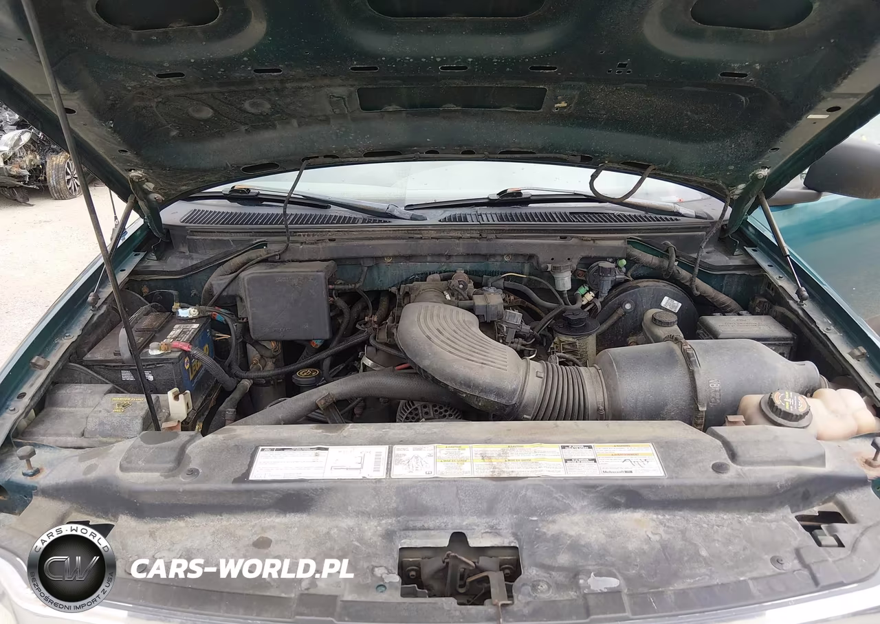 1998 Ford F-150 Lariat-Standard-Xl-Xlt VIN:1FTZX1761WNC03557 - 10