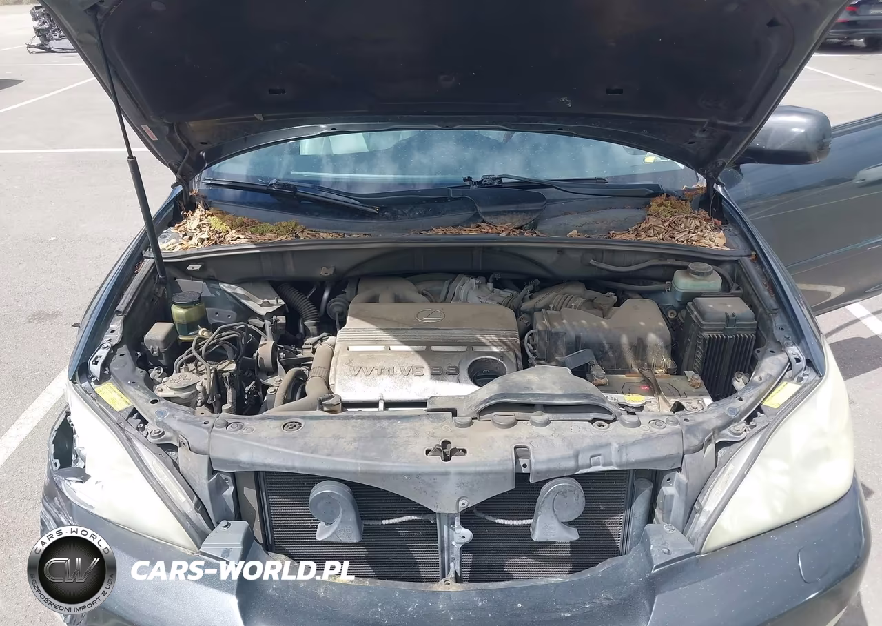 2005 Lexus Rx 330 VIN:JTJHA31U850082972 - 10