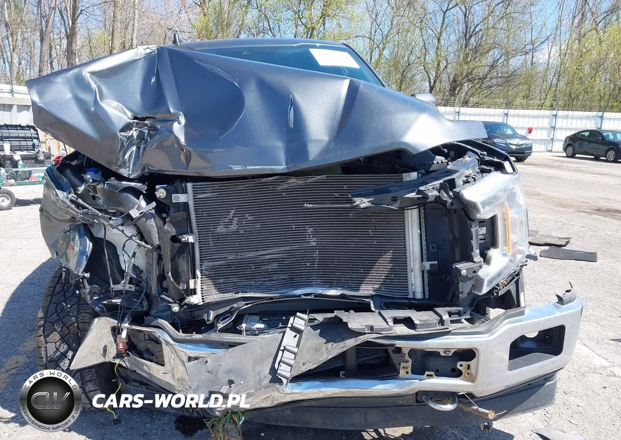 2020 Ford F-150 Xlt VIN:1FTFX1E46LFC04021 - 6