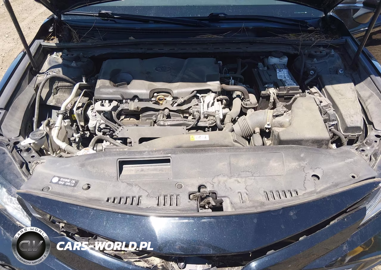 2020 Toyota Camry Le VIN:4T1C11AKXLU319222 - 10