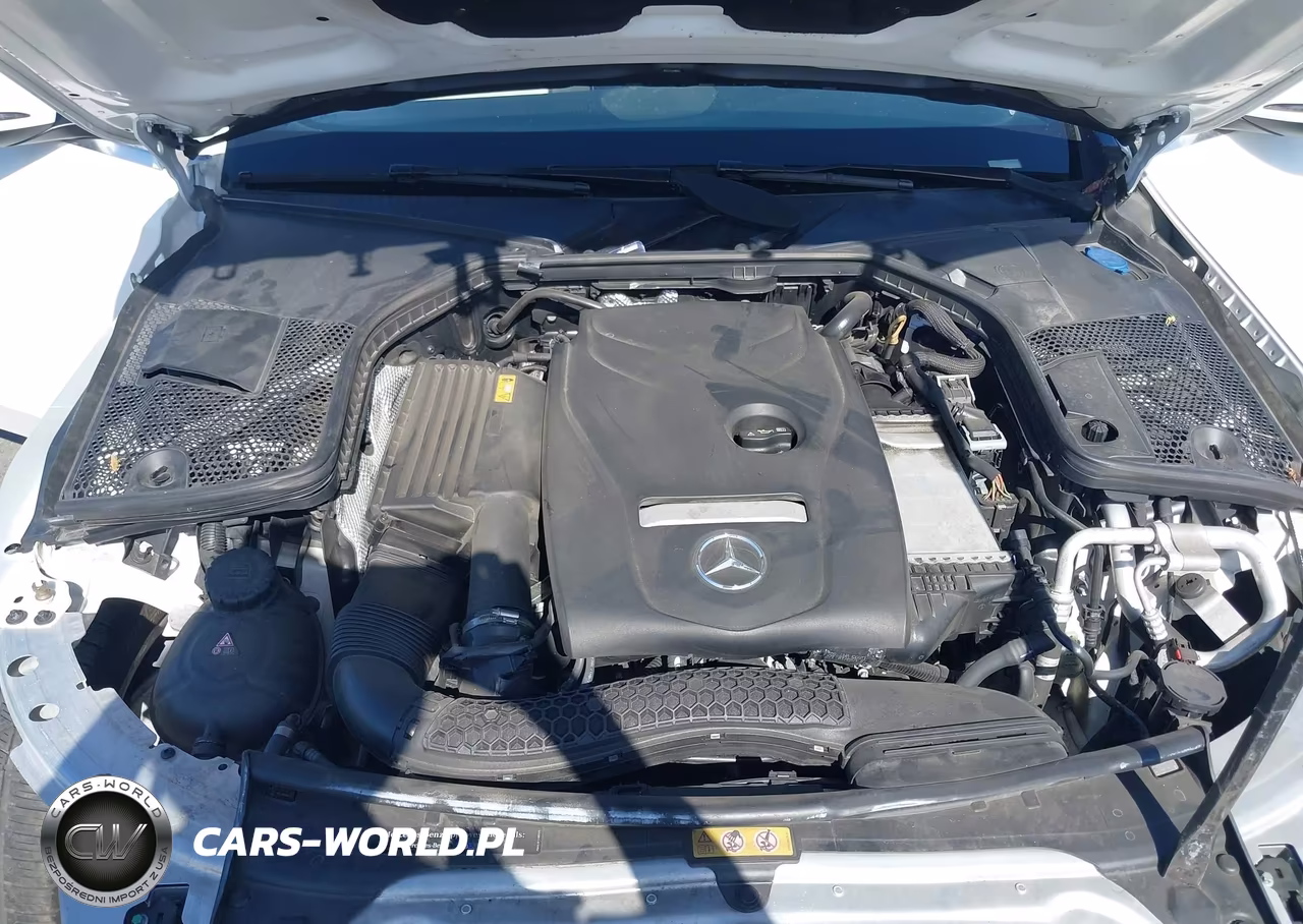 2018 Mercedes-Benz C 300 VIN:55SWF4JBXJU281144 - 10
