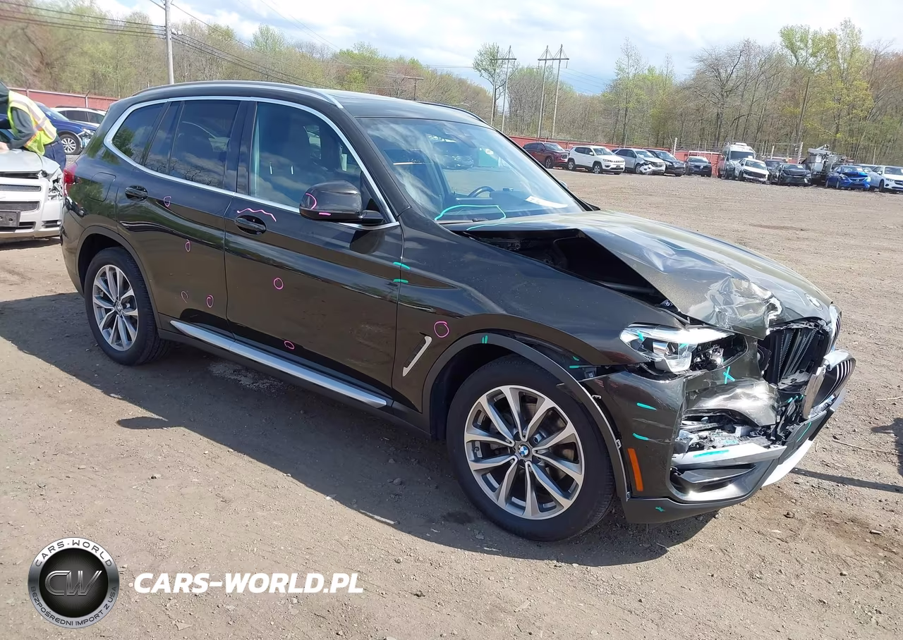 2019 BMW X3 xDrive30I – zdjęcie 1 z 17