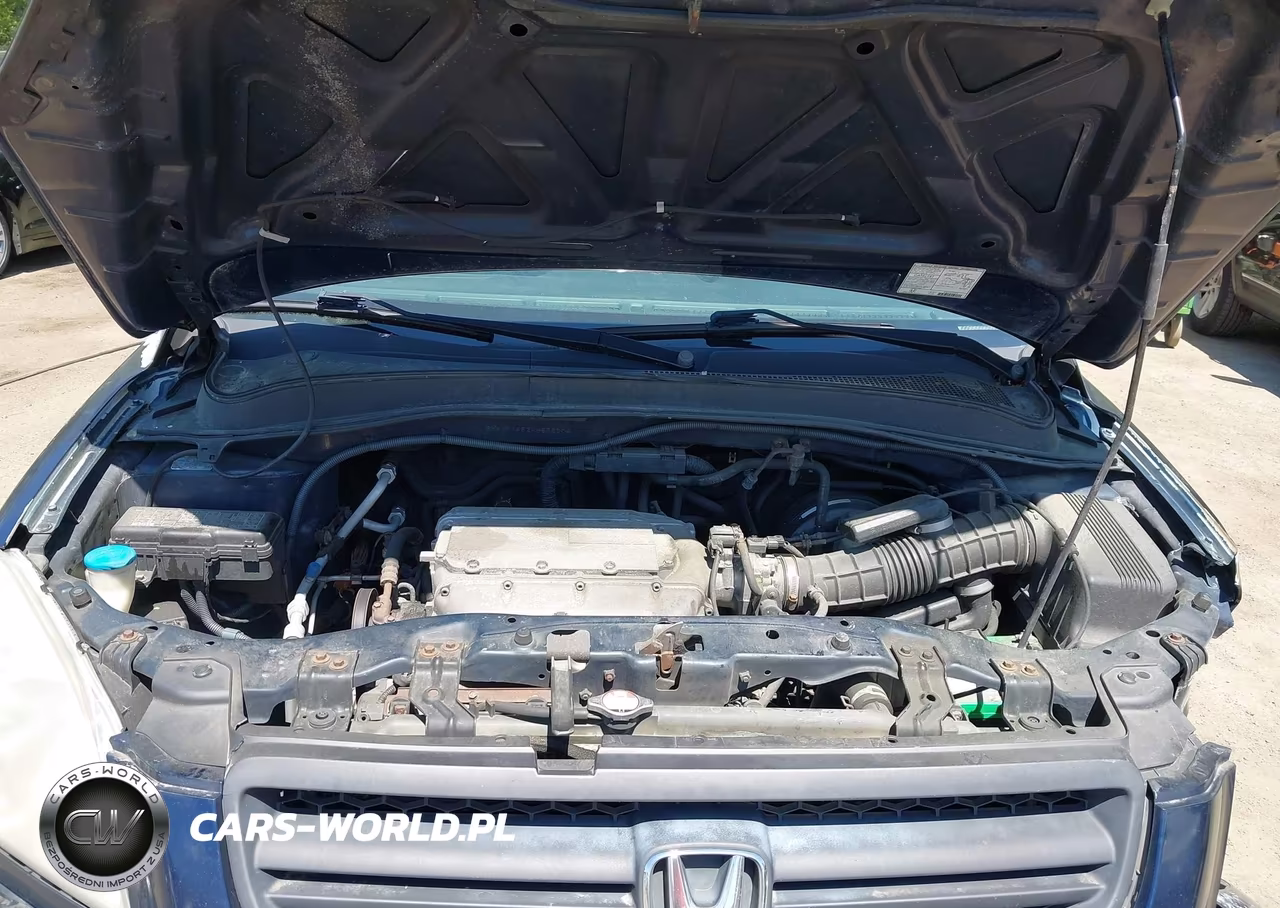 2004 Honda Pilot Ex-L VIN:2HKYF18524H558304 - 10