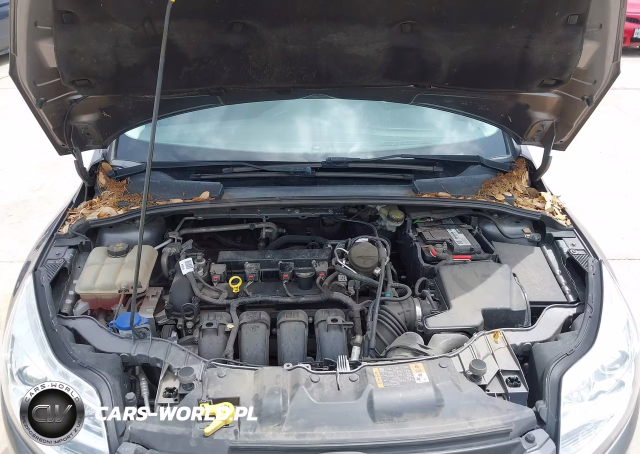 2014 Ford Focus Se VIN:1FADP3F29EL275949 - 10