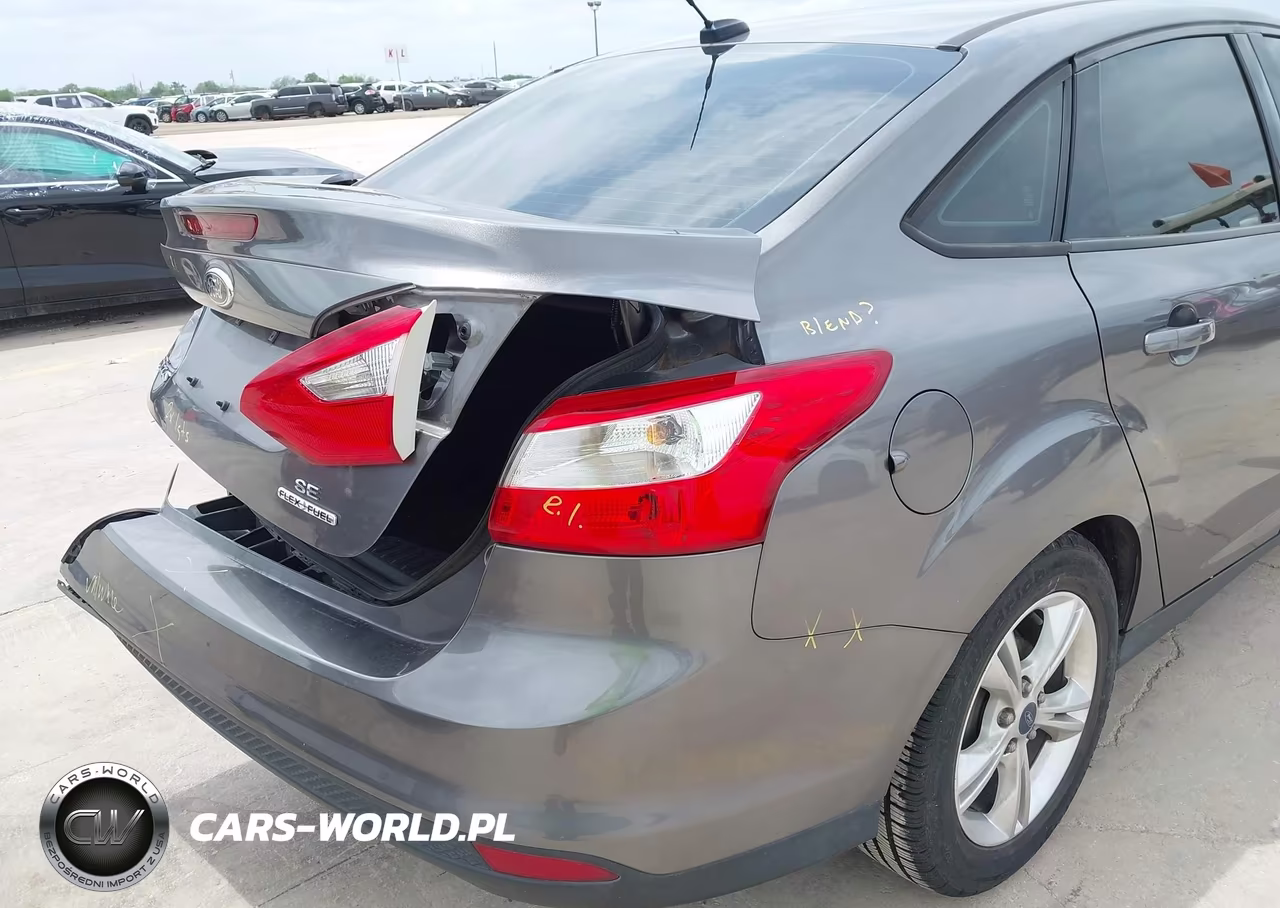 2014 Ford Focus Se VIN:1FADP3F29EL275949 - 17