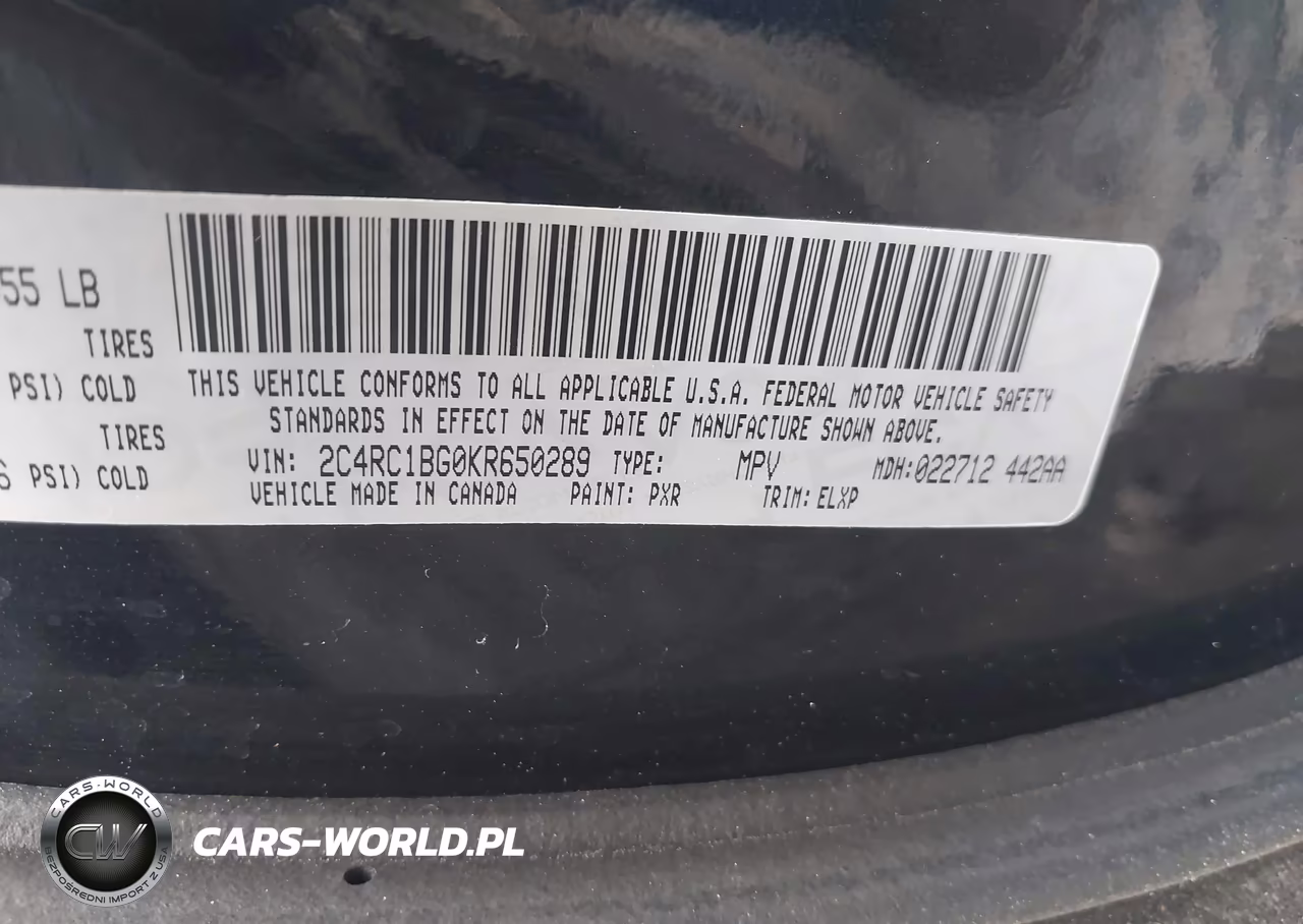 2019 Chrysler Pacifica Touring L VIN:2C4RC1BG0KR650289 - 9